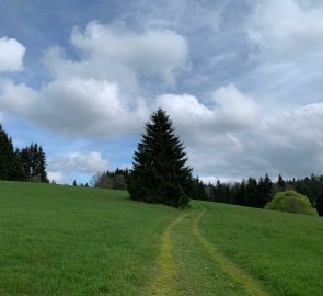 Beautiful Sumava landscape