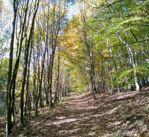 Cesta od hradu do osady Dlouhá louka