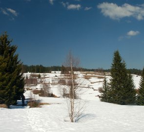 Planiny v Národním parku Šumava