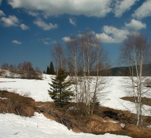 Planiny v Národním parku Šumava