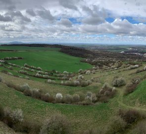 View from the lookout tower towards Pálava and Austria