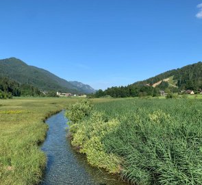 View of the Zelenci National Reserve from the bridge