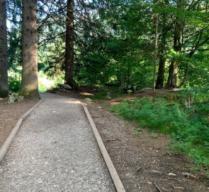 The path to the lake