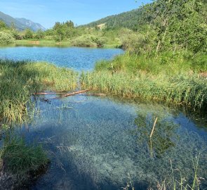 Zelenci lakes