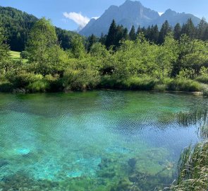 Jezero Zelenci, v pozadí hora Visoka Ponca