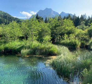 Zelenci lake and Visoka Ponci mountain