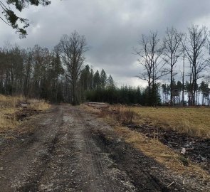 Neznačená široká lesní cesta zpět