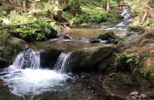 Trek údolím Bílé Opavy z Karlovy studánky a zpět