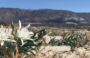 Crossing Crete hike E4 along the coast