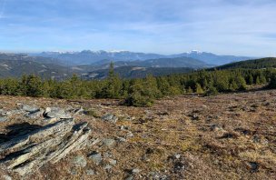 A circular trek to the Hochwechsel mountain in eastern Austria