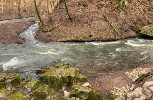 Výlet k hradu Holštejn a jeskyni Hladomorna