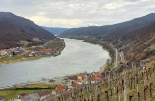 Výšlap vinicemi na Jauerling, nejvyšší bod Wachau