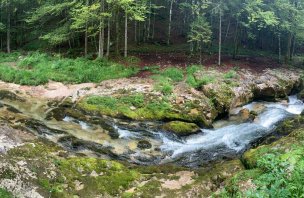 Výlet do soutěsky řeky Mostnica u Bohinjského jezera