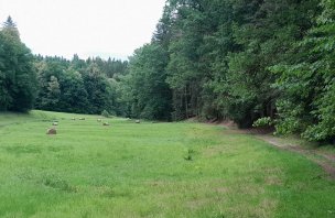 Hike through the Tereza valley near New Castles