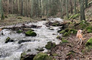 A trip to see the beauty of nature and history in the valley of the Halda River