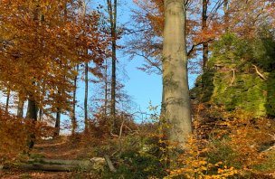 Autumn trip to Peperek hill in Highlands