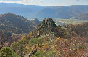 A hike to the autumn-coloured Wachau