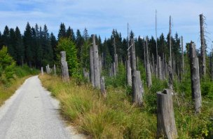 Rodinný výlet k Plešnému jezeru v NP Šumava