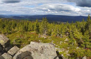 Okružní trek na Oblík a Tříjezerní slať na Šumavě