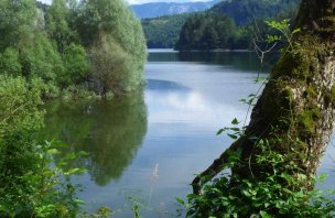 Lehký rodinný trek kolem jezera Schwarzensee