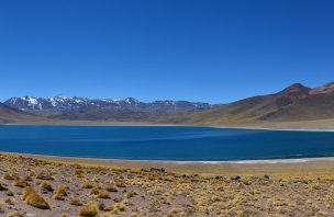 Trip to the Miscanti and Miñiques lagoons in Los Flamencos NP