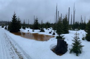 Winter hike to Poledník from Prášily