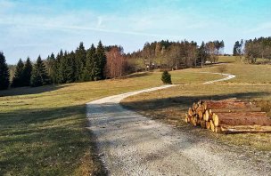 Krátká túra na rozhlednu Krudum ve Slavkovském lese