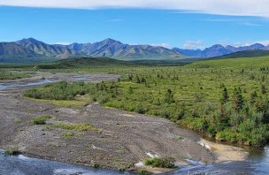 Savage River Loop a Savage Alpine Trail v parku Denali