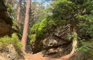 Family trip to the rock town of Toulovcovy Maštale