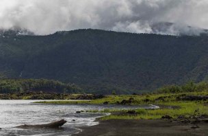 Trek to the lake in Conguillío National Park in the Andes