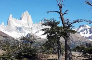 An easy hike below Mount Fitz Roy in Patagonia