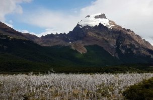 Sightseeing route to the Torre lagoon below Mount Fitz Roy in the Land of Fire