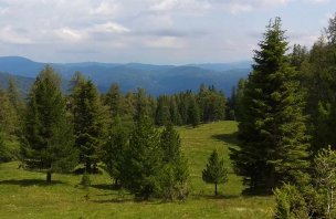 Výlet s dětmi na horu Rinsennock v pohoří Nockberge